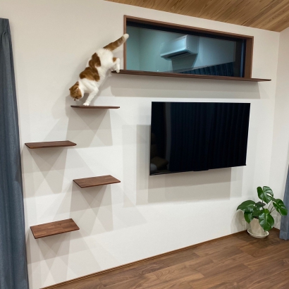 リビング 一忠建築設計工務店の施工事例 猫と暮らす家