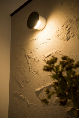 珪藻土塗の壁 オダケホーム株式会社の施工事例 こだわりが詰まった趣味を楽しむ家/野々市市堀内