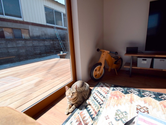 日当たりのよい窓辺は愛猫のお気に入り 有限会社 吉田建築の施工事例 【戸建てリノベーション】ロックと愛猫と過ごす家
